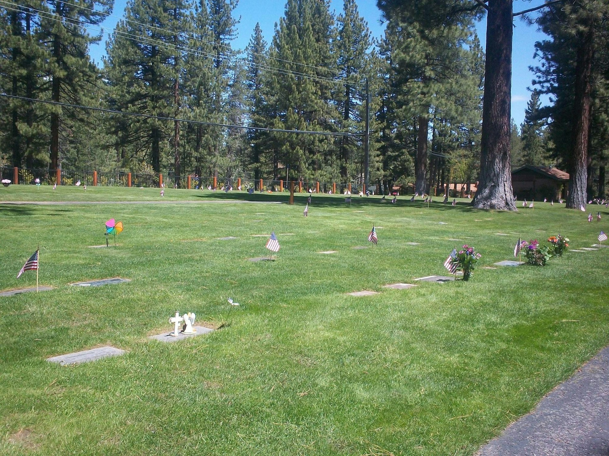 A peaceful cemetery with gravestones, flowers, small flags, and tall trees under a clear blue sky.