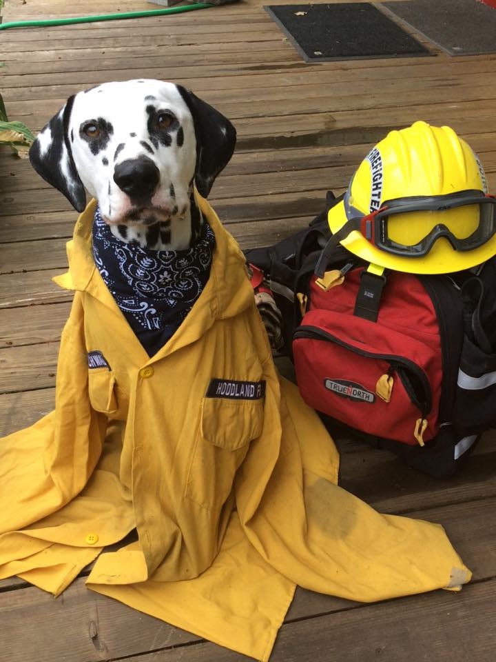 May contain: apparel, clothing, helmet, and coat