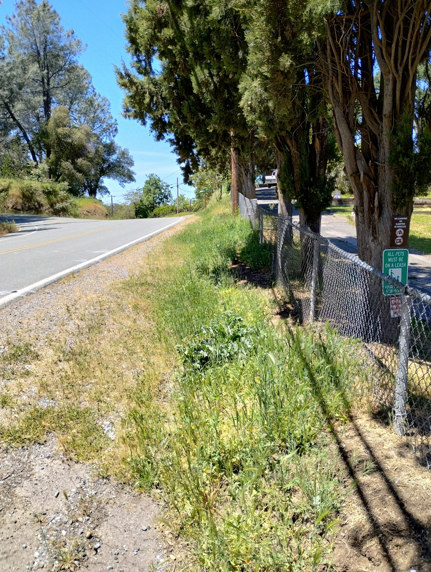 May contain: road, path, plant, vegetation, city, street, urban, tree, grass, sidewalk, outdoors, and nature