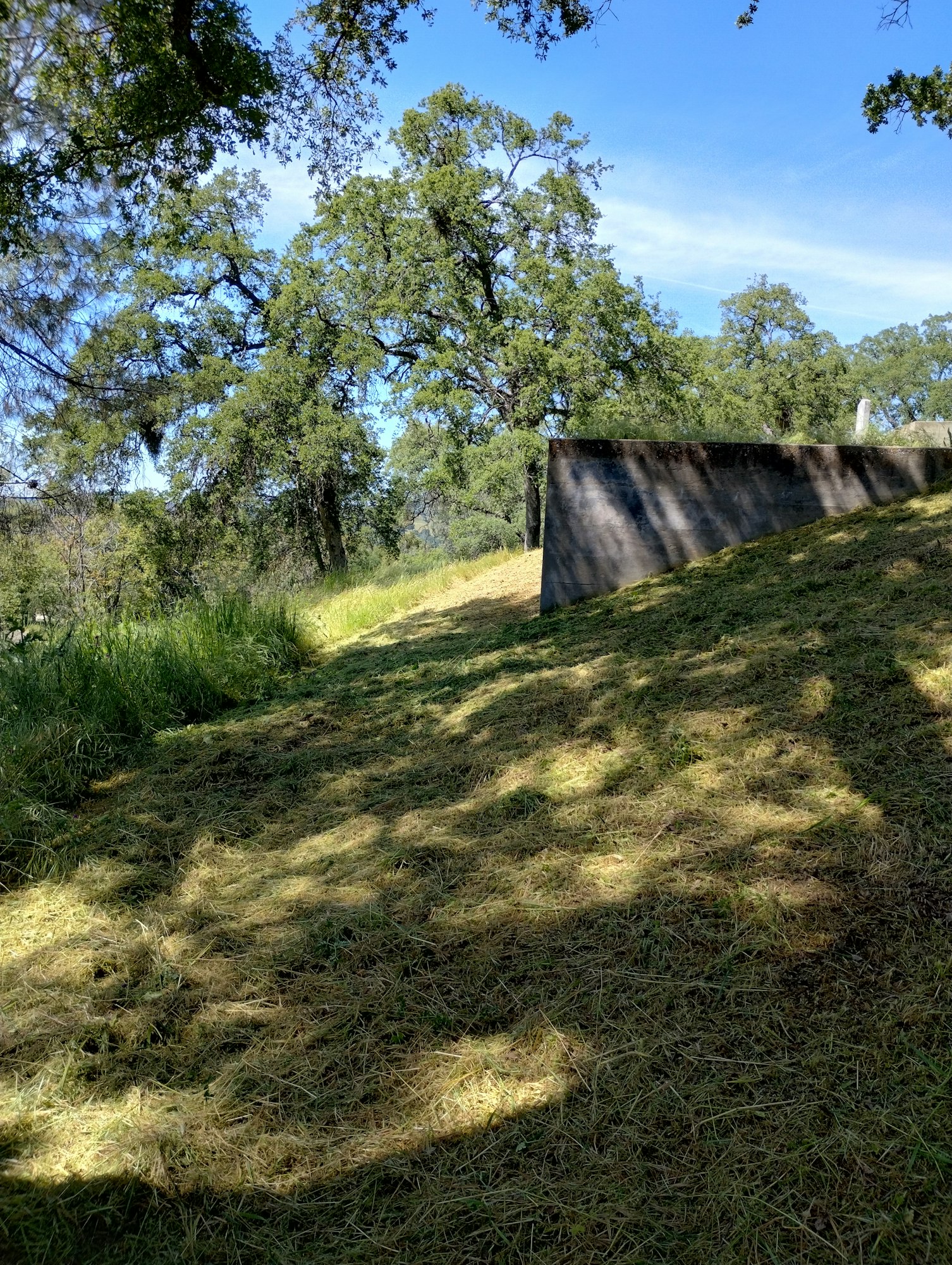 A grassy field with trees, a shadow, and a concrete structure under a blue sky.