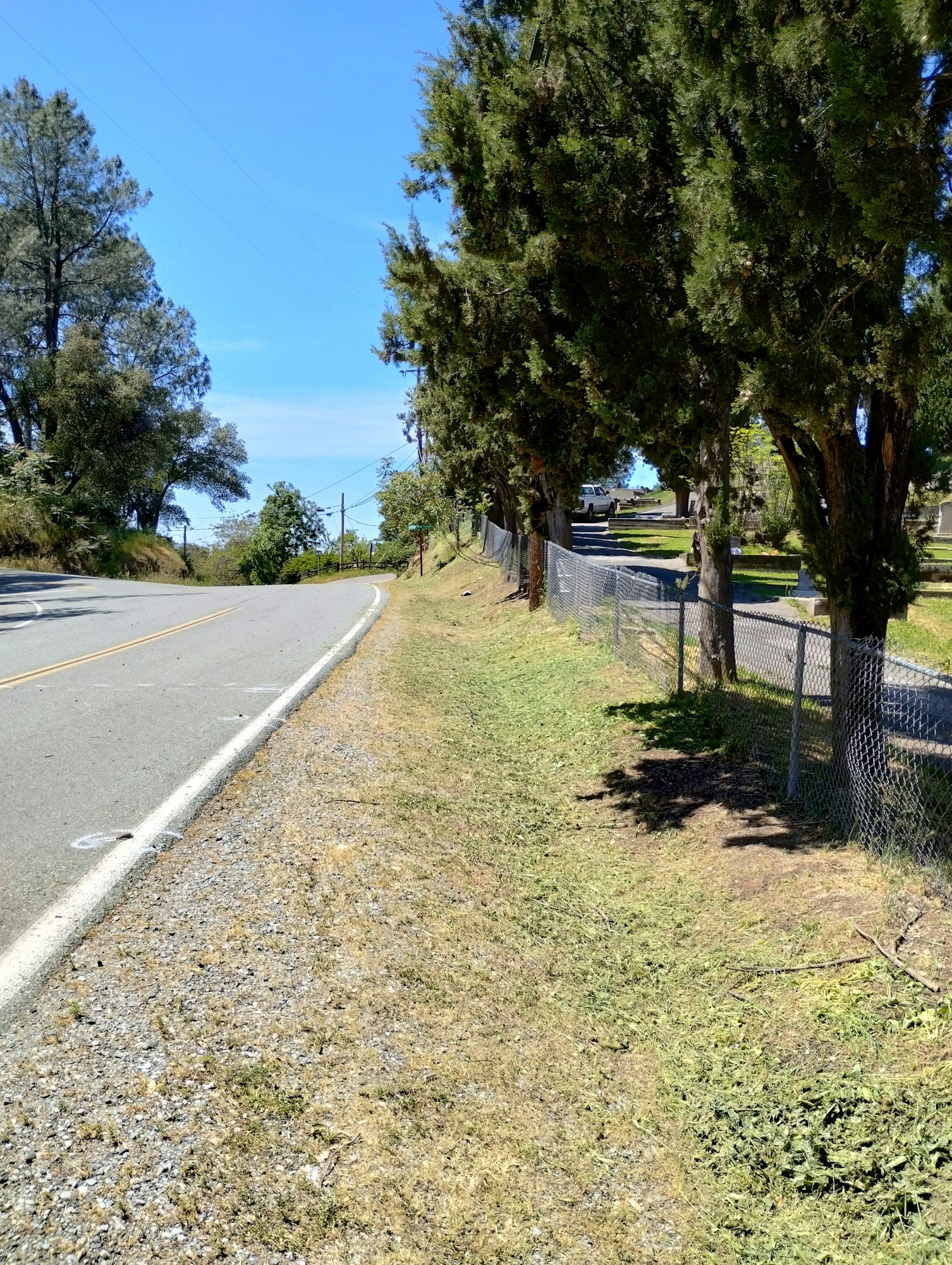 A road lined with trees and a fence on a sunny day.