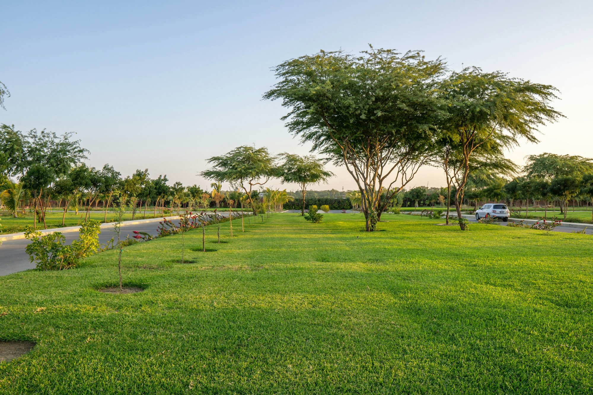 May contain: grass, plant, summer, nature, outdoors, park, lawn, car, transportation, vehicle, tree, garden, field, tree trunk, person, and scenery