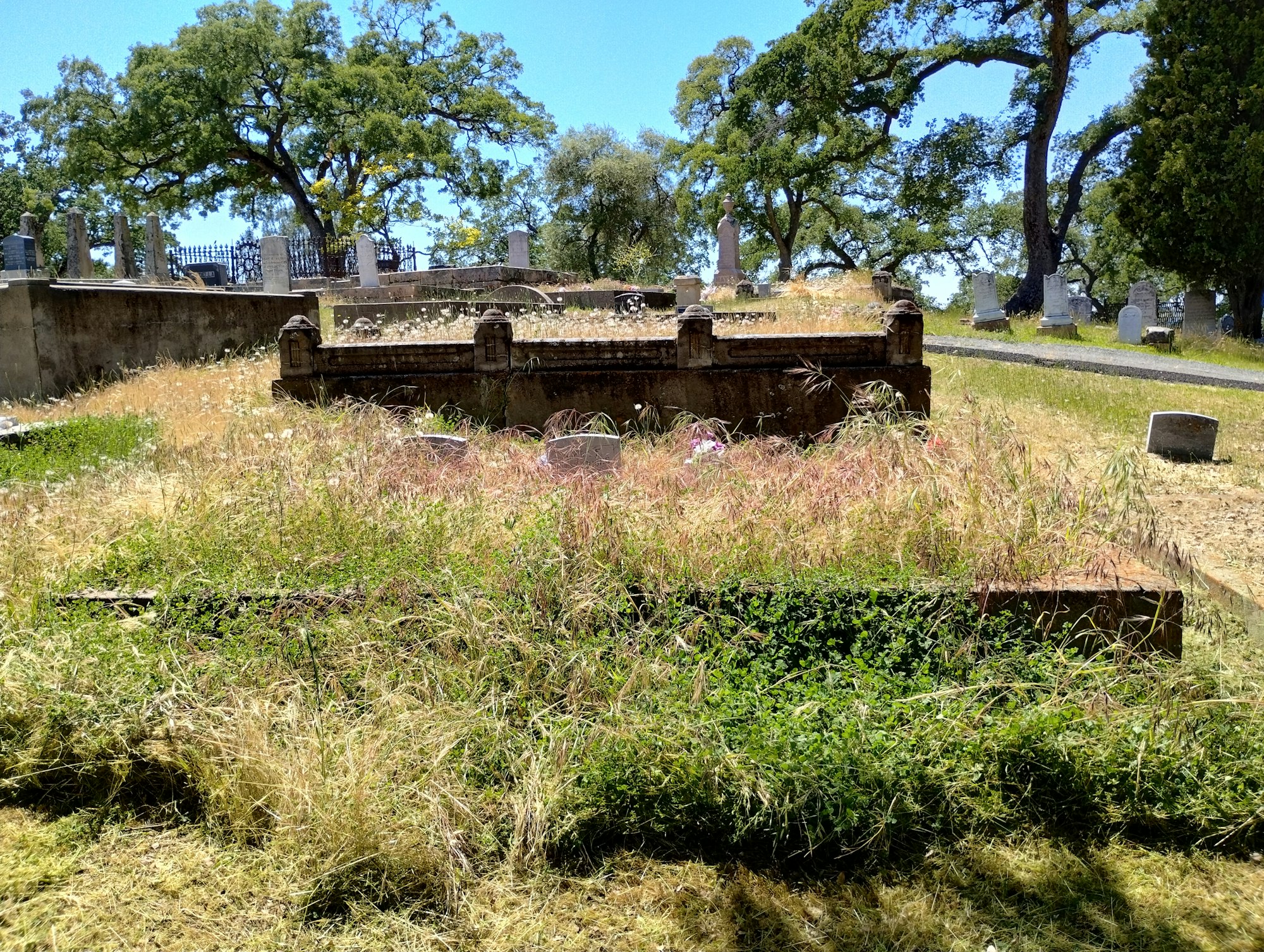 Grassy cemetery with old tombstones, trees, and overgrown vegetation under a clear sky.