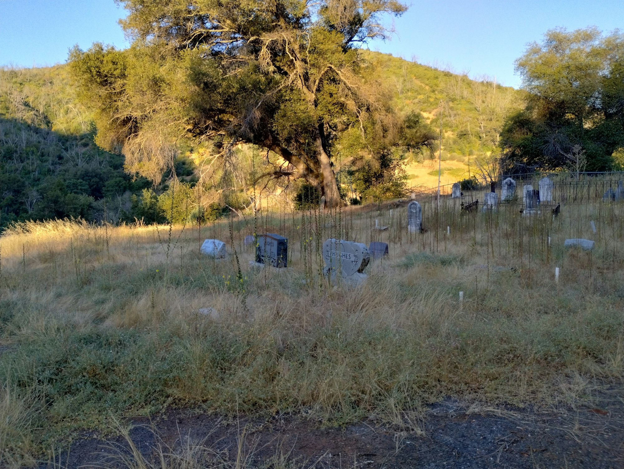 A cemetery on a grassy hillside with scattered tombstones under a large tree, surrounded by hills and trees.