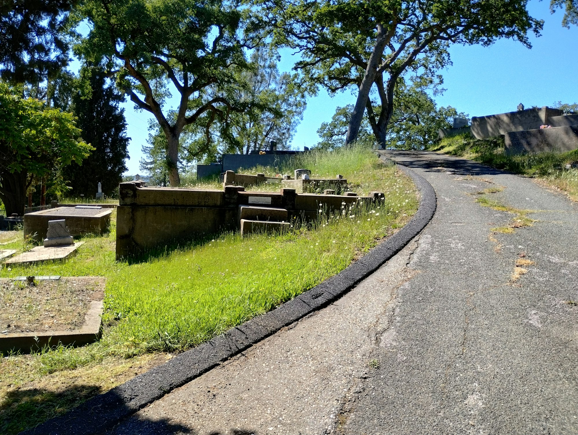 A winding path through a cemetery with gravestones and trees on a sunny day.