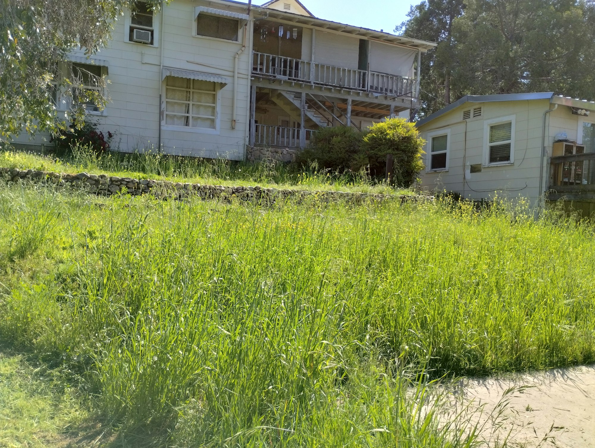 A house with a smaller building, surrounded by overgrown grass and trees.