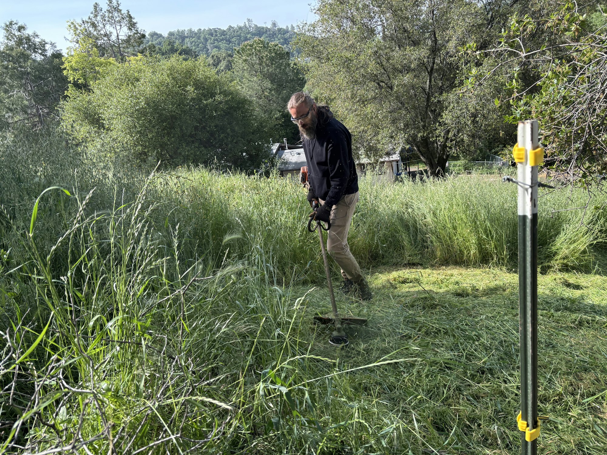A person is trimming tall grass with a weed trimmer in a lush, green outdoor area.