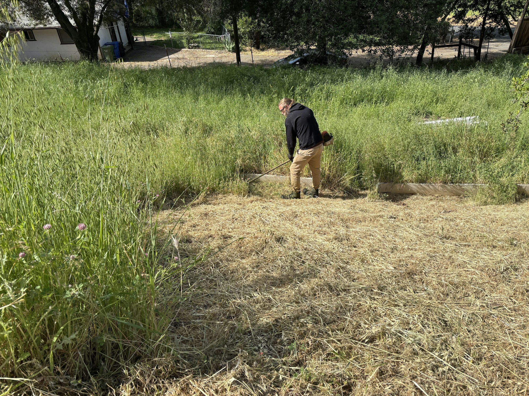A person is cutting tall grass with a scythe in a field next to a house.