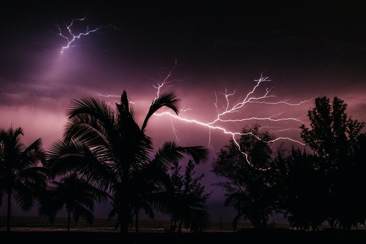 Lightning flashes across a dark sky, silhouetting palm trees and creating a dramatic scene.