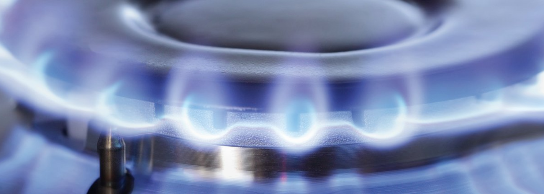 Close-up of a lit gas stove burner with blue flames.