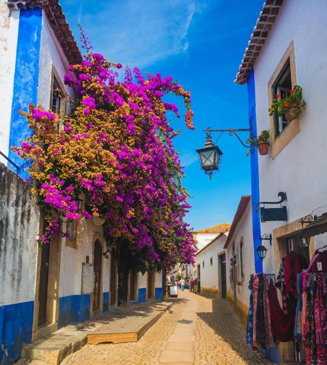 A charming cobblestone street with vibrant purple flowers cascading from buildings under a clear blue sky.