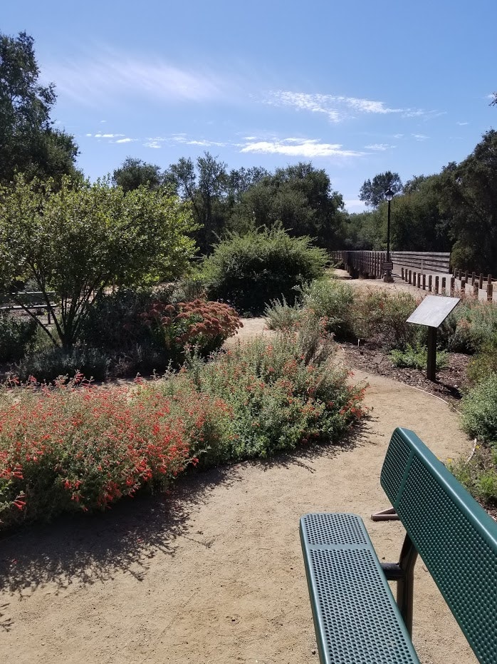 May contain: grass, nature, outdoors, park, plant, bench, furniture, vegetation, herbal, herbs, garden, backyard, yard, chair, tree, scenery, land, and woodland