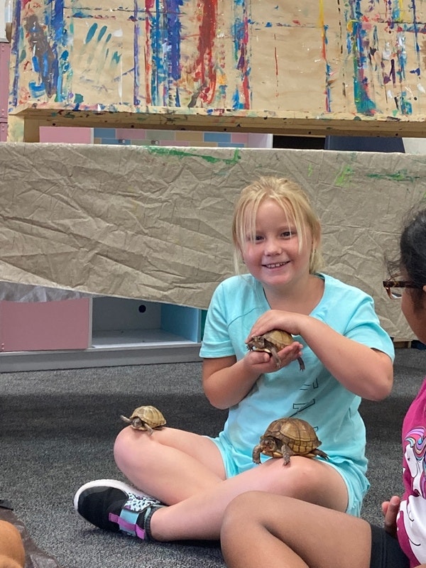 May contain: face, head, person, photography, portrait, clothing, t-shirt, shorts, cream, dessert, food, ice cream, animal, reptile, sea life, turtle, child, female, girl, footwear, and shoe