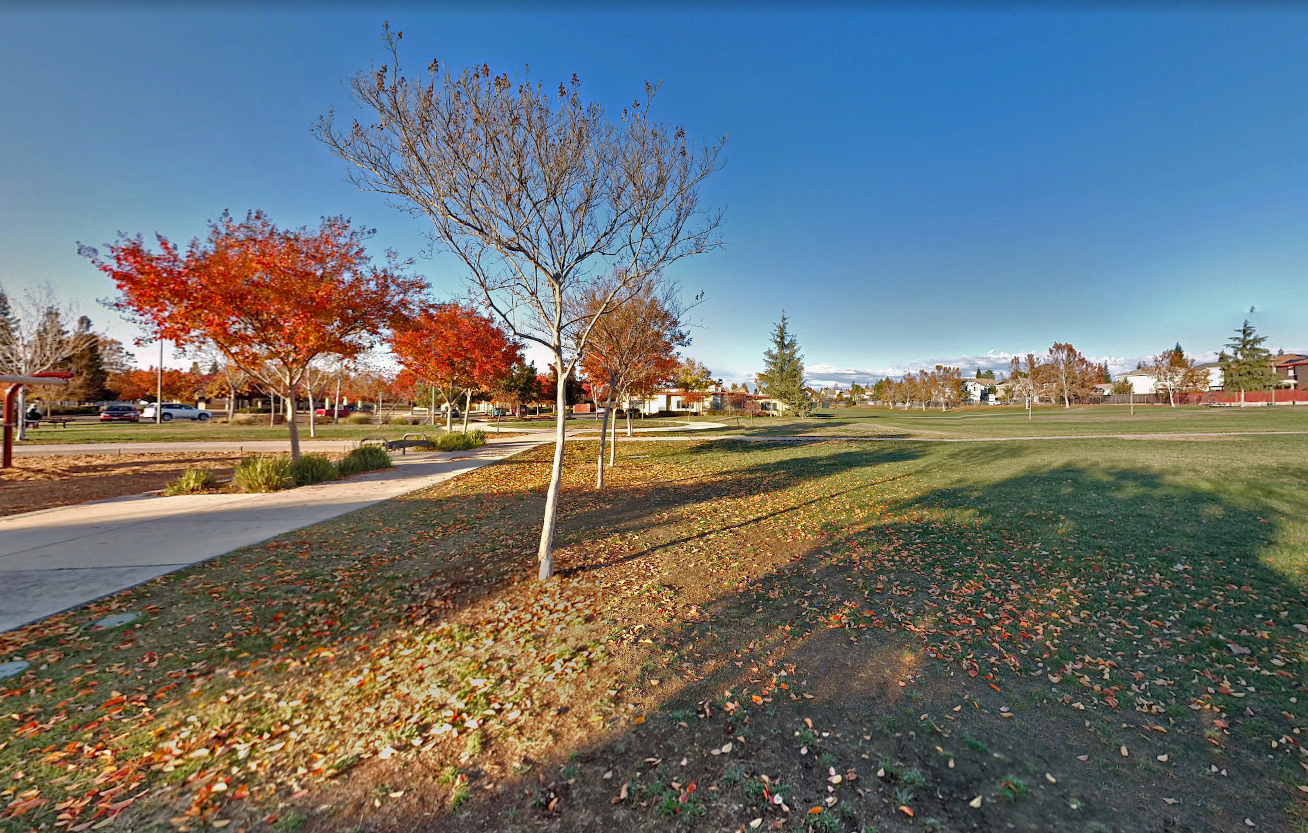 May contain: plant, tree, grass, nature, outdoors, park, car, transportation, vehicle, scenery, and person