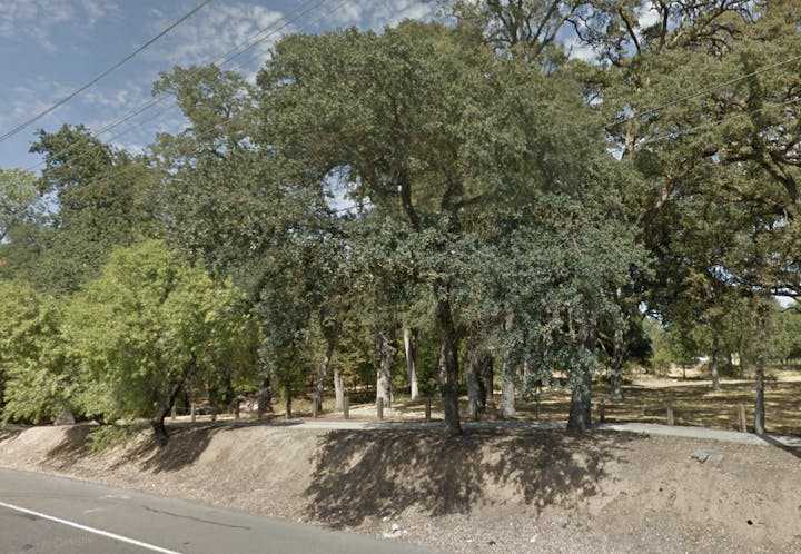 May contain: road, outdoors, plant, tree, path, and vegetation