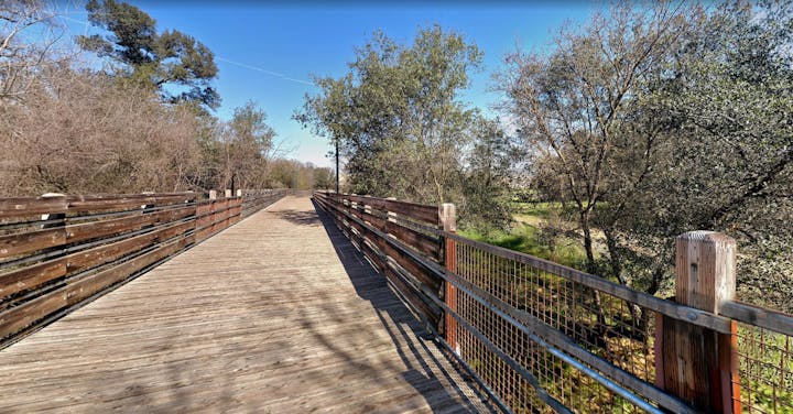 May contain: boardwalk, bridge, path, nature, outdoors, scenery, and trail