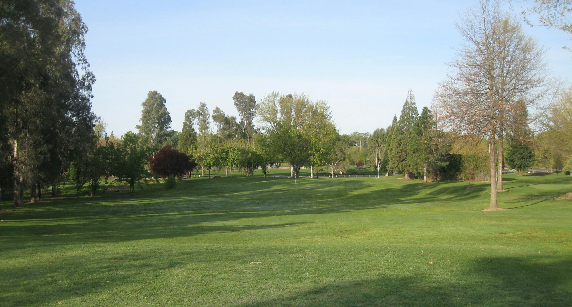 May contain: field, plant, grass, outdoors, and golf course