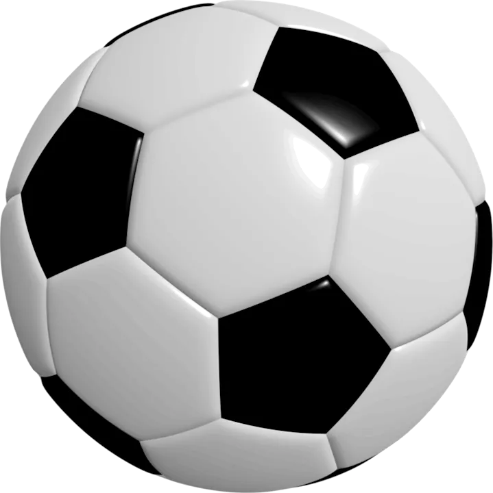 The image shows a classic black and white soccer ball, commonly used in the sport of soccer (football).