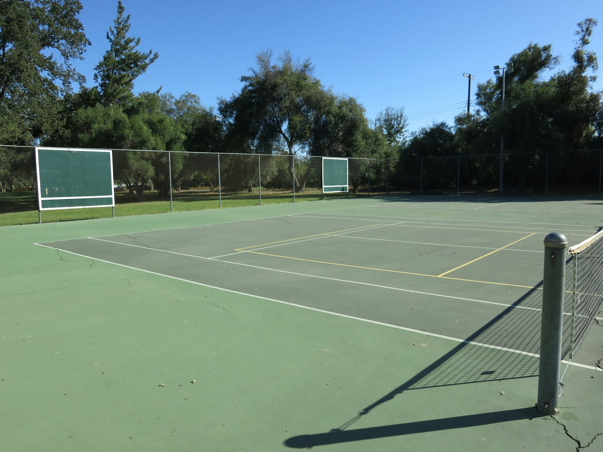 May contain: sports, sport, and tennis court