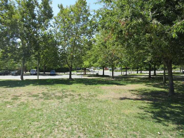 May contain: grass, nature, outdoors, park, plant, tree, tree trunk, vegetation, grove, land, woodland, car, transportation, vehicle, person, and lawn
