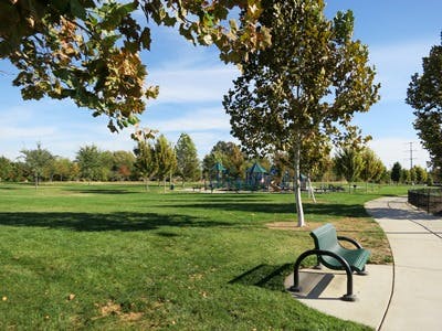 May contain: grass, plant, lawn, outdoors, park, furniture, and vegetation