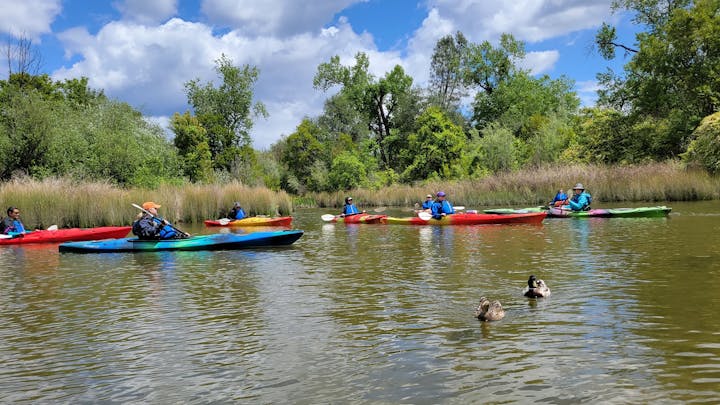 A group of people kayaking in colorful boats on a calm waterway, surrounded by lush greenery and a few ducks nearby.