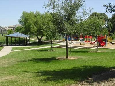 May contain: grass, plant, park, lawn, and outdoors