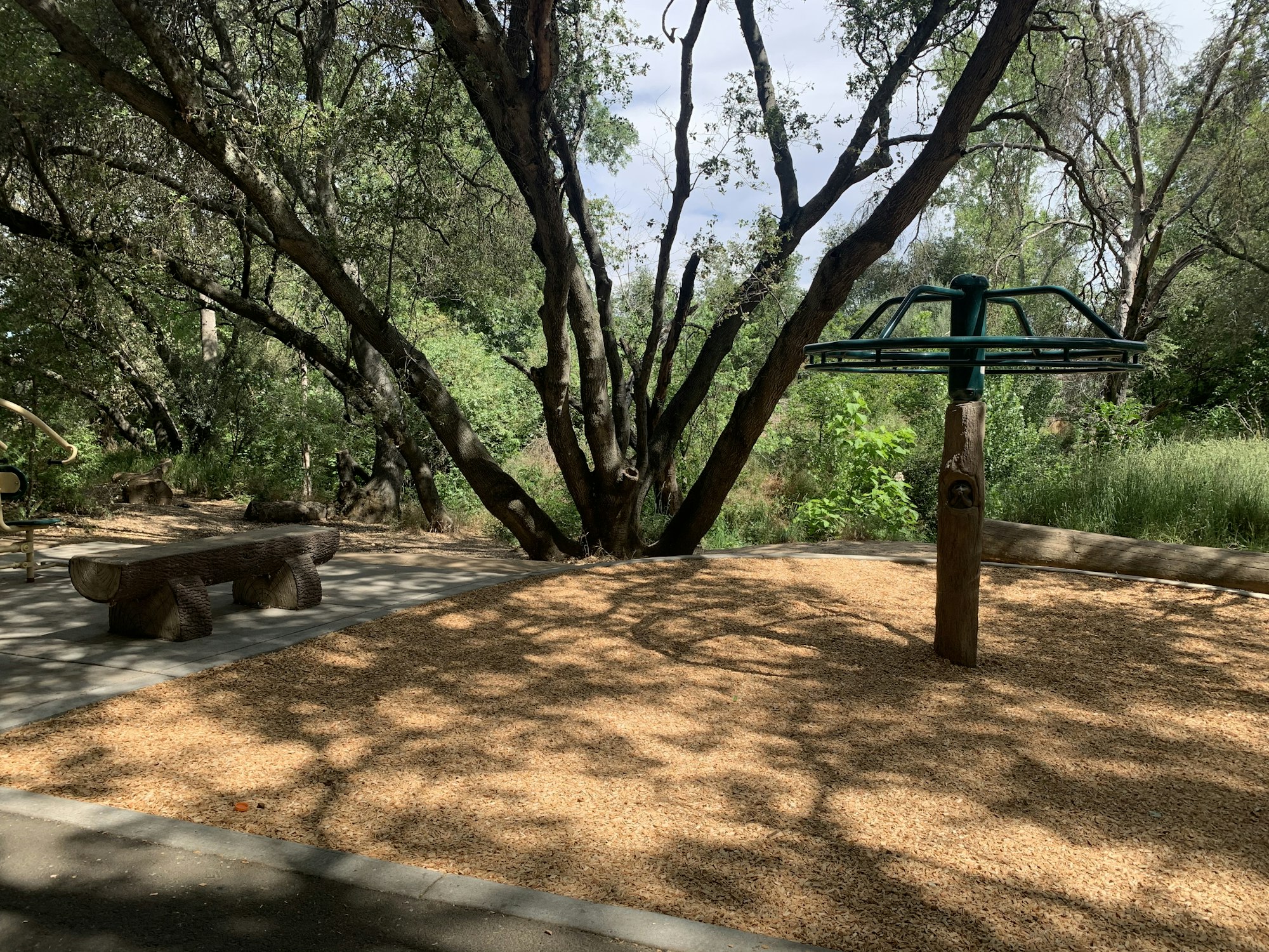 A peaceful outdoor park scene featuring a wooden bench, a spinning playground structure, and lush greenery.
