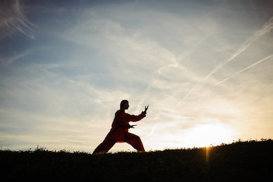 May contain: sports, person, martial arts, tai chi, sport, and human