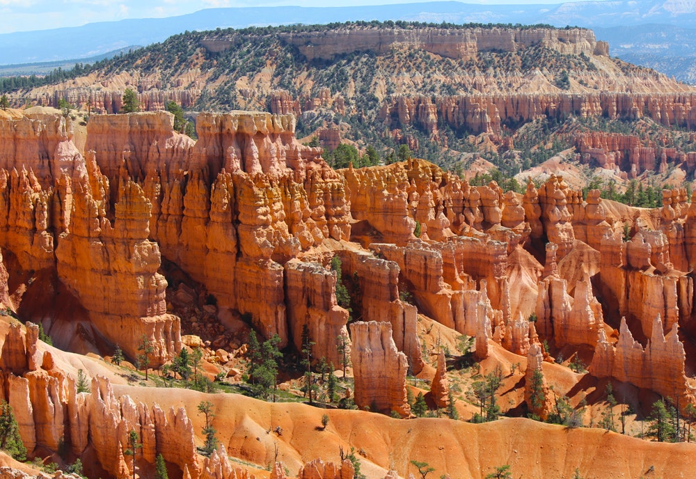 Eroded orange rock formations and hoodoos with sparse trees in a desert landscape under a blue sky.