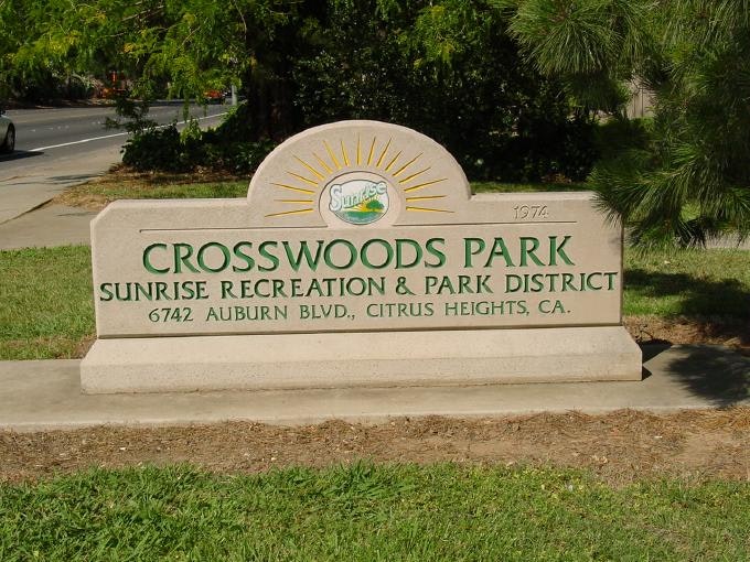May contain: grass, plant, outdoors, lawn, and park