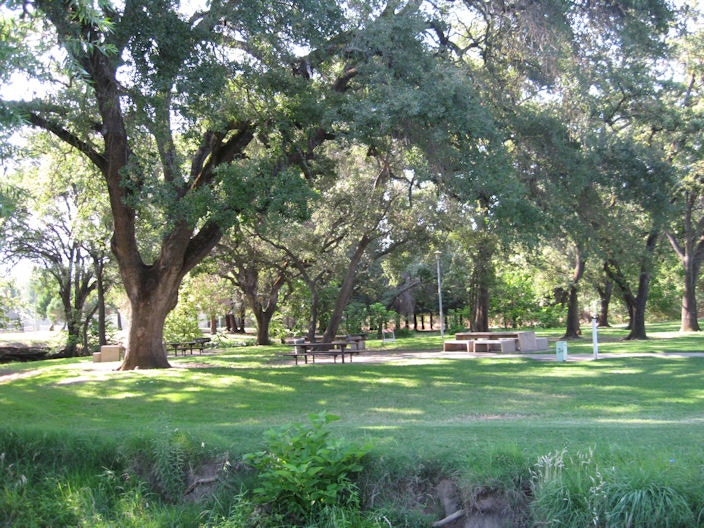 May contain: grass, plant, lawn, outdoors, park, tree, furniture, bench, and vegetation