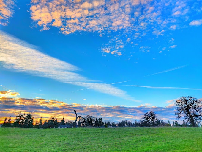 May contain: nature, outdoors, sky, horizon, ground, scenery, grass, and plant