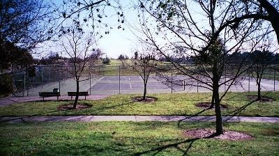May contain: sports, sport, and tennis court
