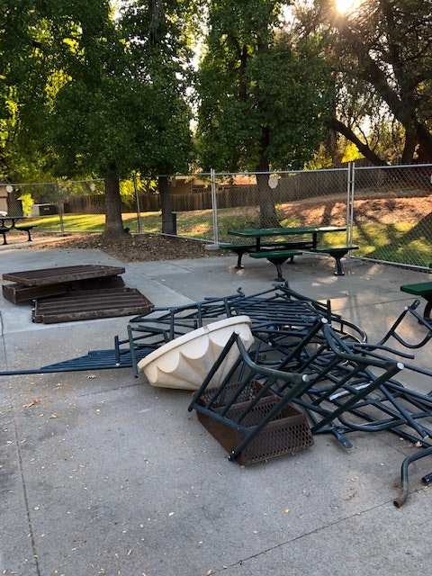 May contain: nature, yard, outdoors, furniture, bench, and backyard