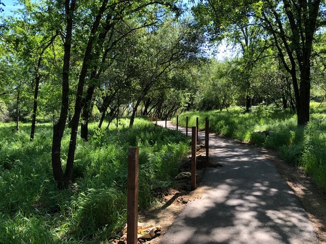 May contain: path, outdoors, vegetation, plant, trail, nature, land, and tree