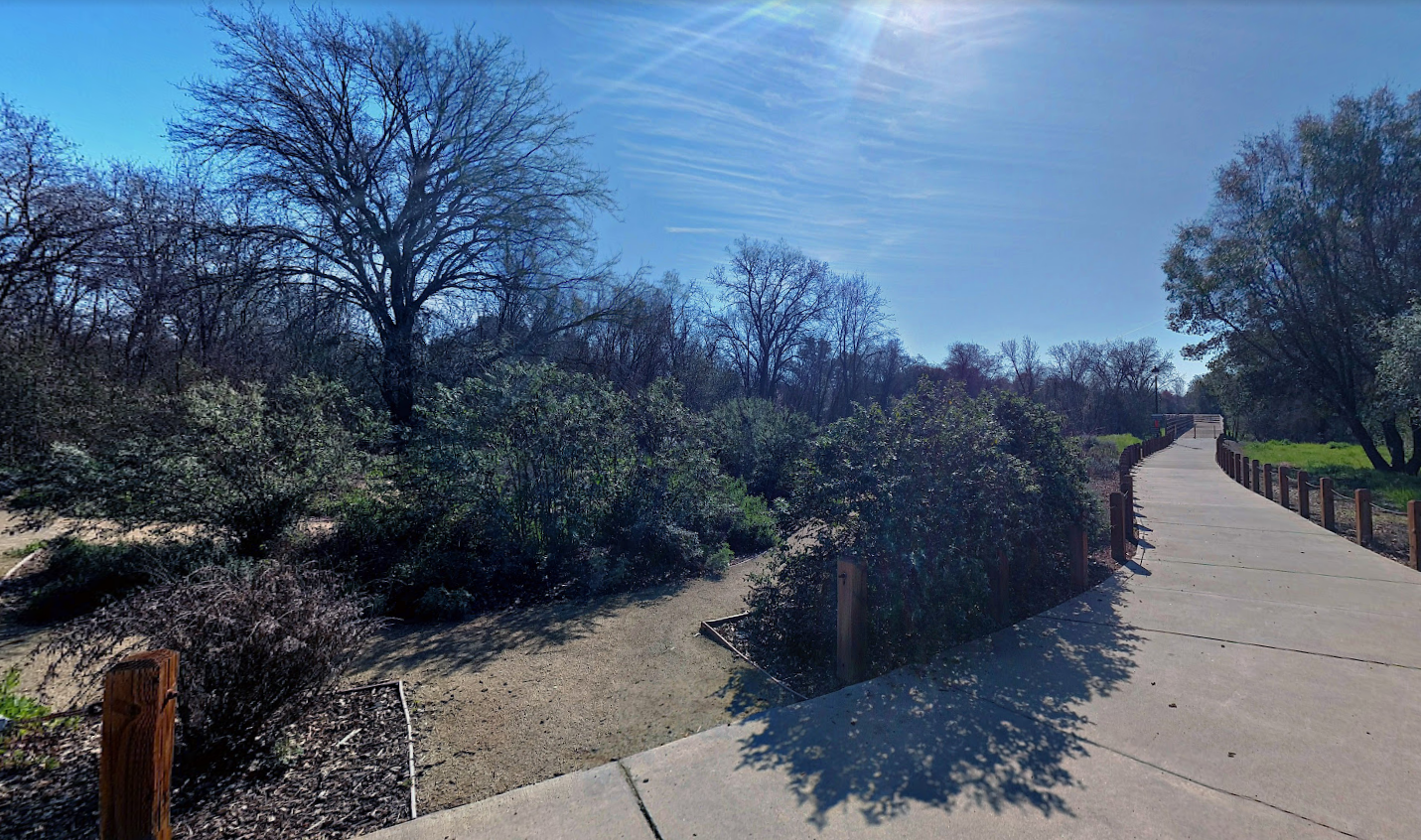 May contain: path, sidewalk, nature, outdoors, scenery, grass, park, plant, trail, walkway, vegetation, landscape, tree, boardwalk, bridge, city, road, street, urban, land, woodland, water, and waterfront