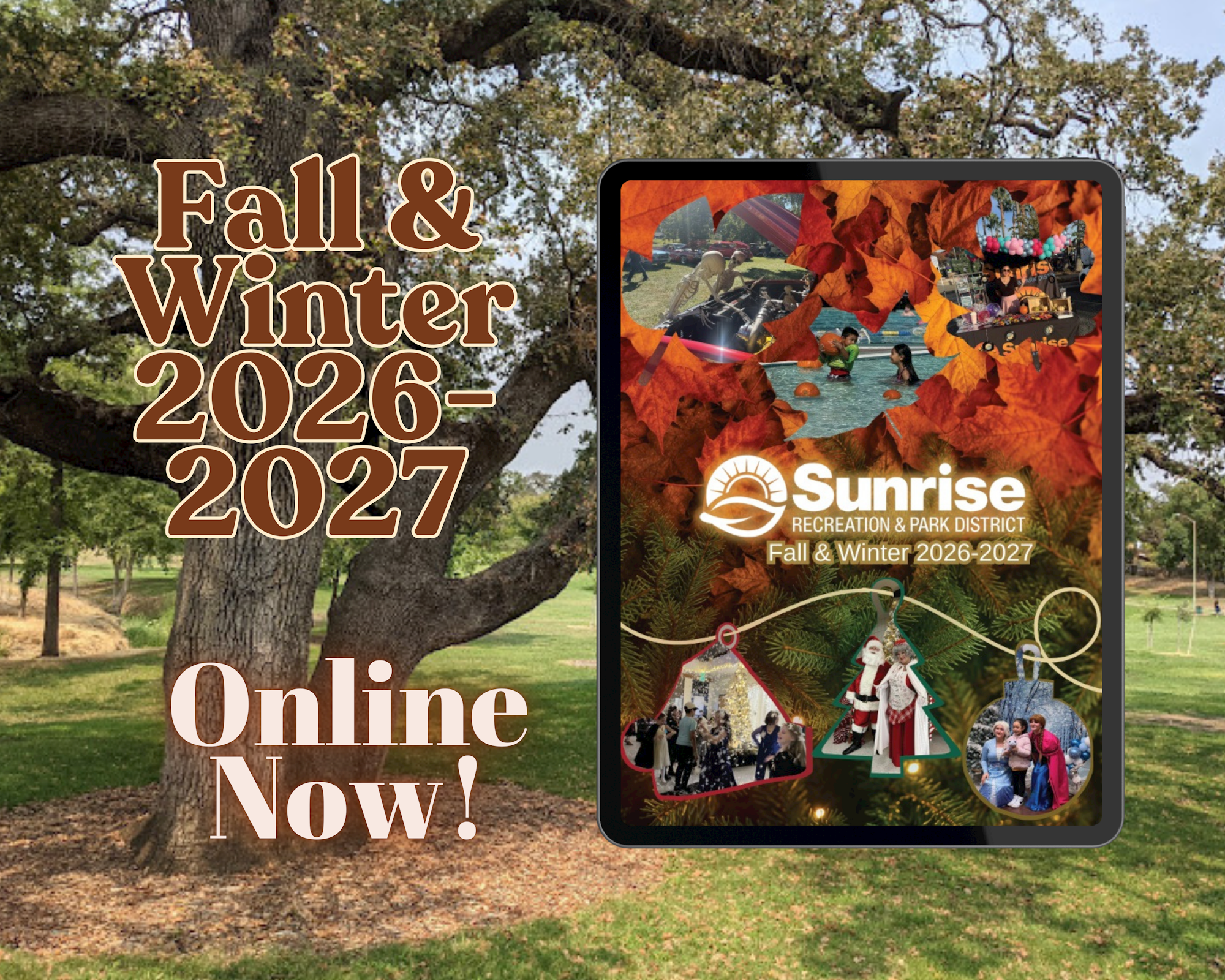 fall winter activity guide banner