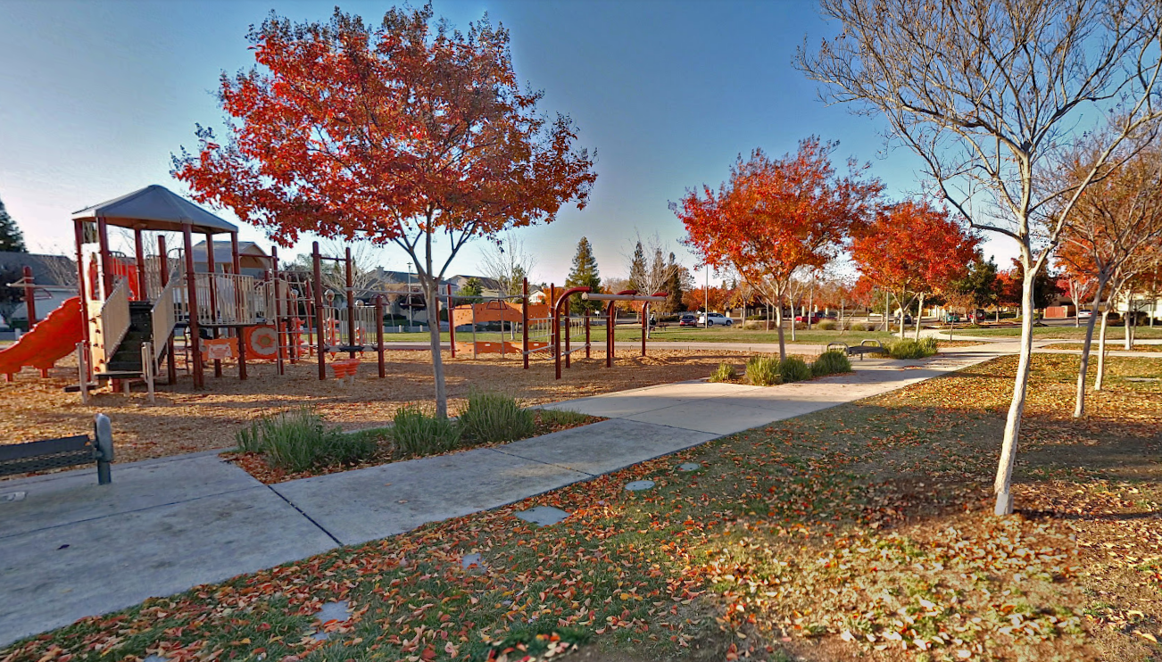 May contain: grass, nature, outdoors, park, plant, play area, outdoor play area, and tree