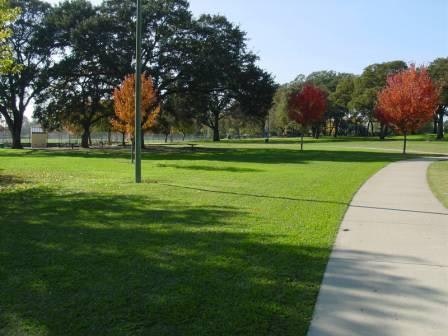 May contain: grass, plant, lawn, park, outdoors, path, nature, and yard