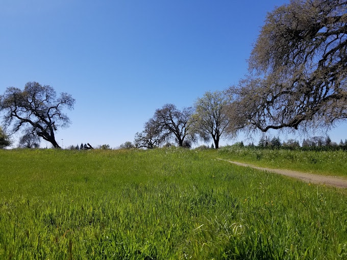 May contain: field, grassland, nature, outdoors, countryside, meadow, rural, plant, tree, grass, farm, pasture, and tree trunk