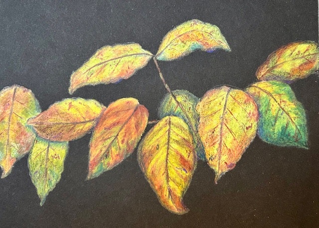 Colorful autumn leaves on a dark background.