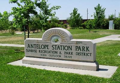 May contain: grass and plant