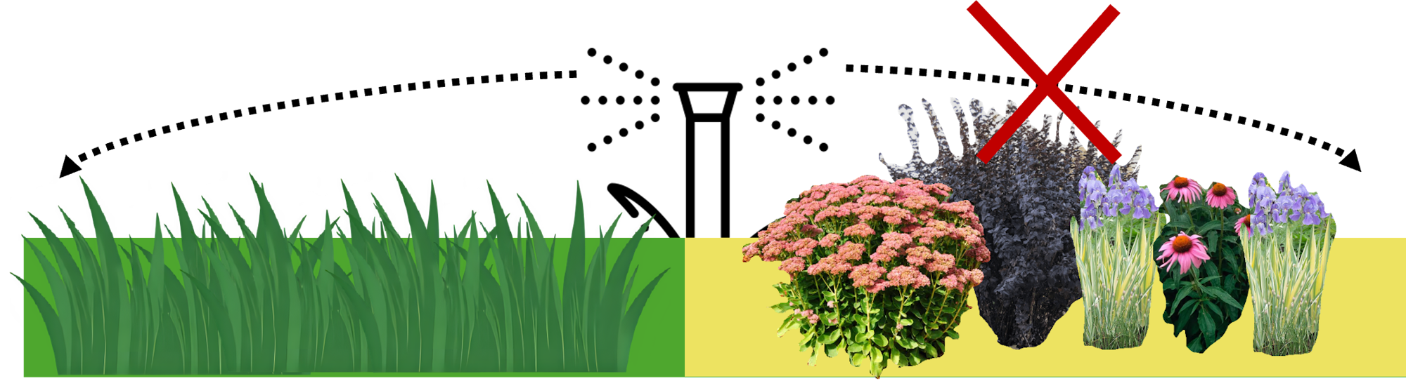 The image shows healthy grass and various flowers, with a red "X" marking something that should be avoided, likely weeds or unwanted plants.