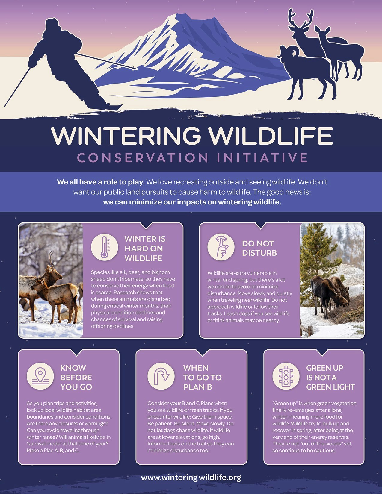 Infographic about winter wildlife conservation, outlining tips for minimizing human impact on animals during winter.
