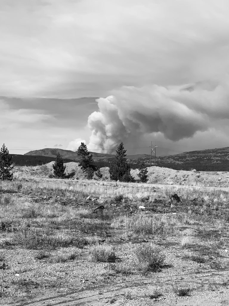 May contain: nature, outdoors, weather, fir, plant, tree, cloud, cumulus, and sky