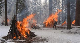 Controlled burn in a snowy forest, with piles of wood on fire and a person nearby.