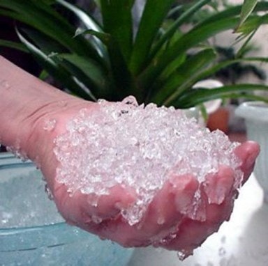 A hand holding hydrated polymer crystals, with plants in the background.