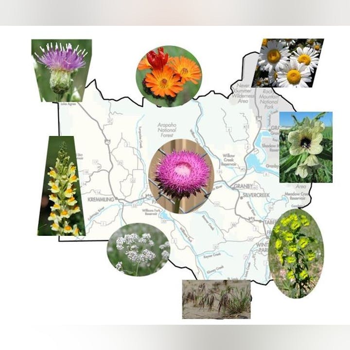 Map with circular images of various wildflowers around it.