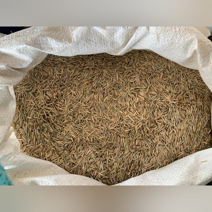 May contain: food, spice, and cumin